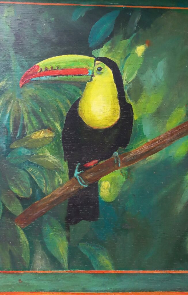Toucan peint